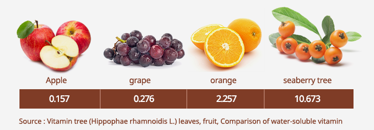 Vitamin C content comparison