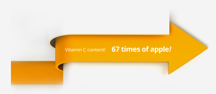 Vitamin C content comparison