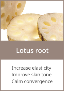 Lotus root