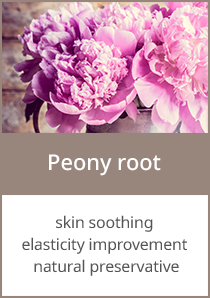 Peony root